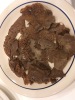 Injera, kinda A raggedly-torn piece of injera haphazardly reassembled on a plate.